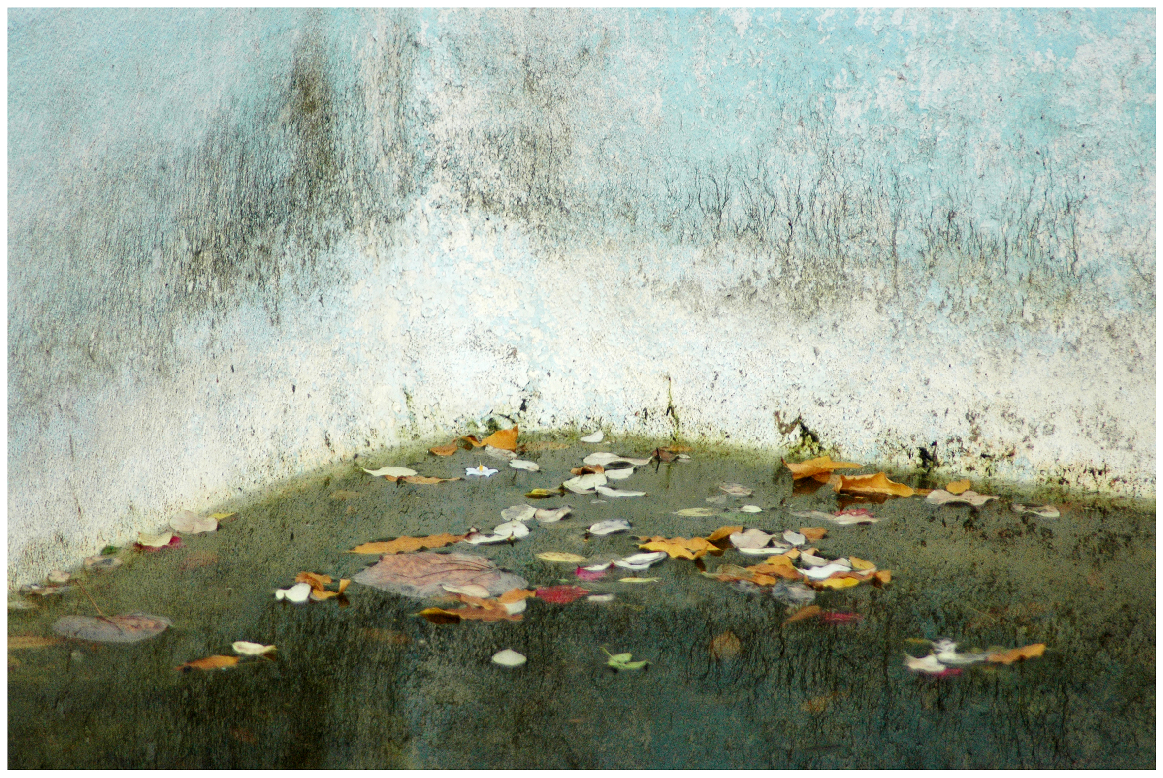 Penelope Hunt, 'Curved Horizon', Pigment print on Museo Silver Rag