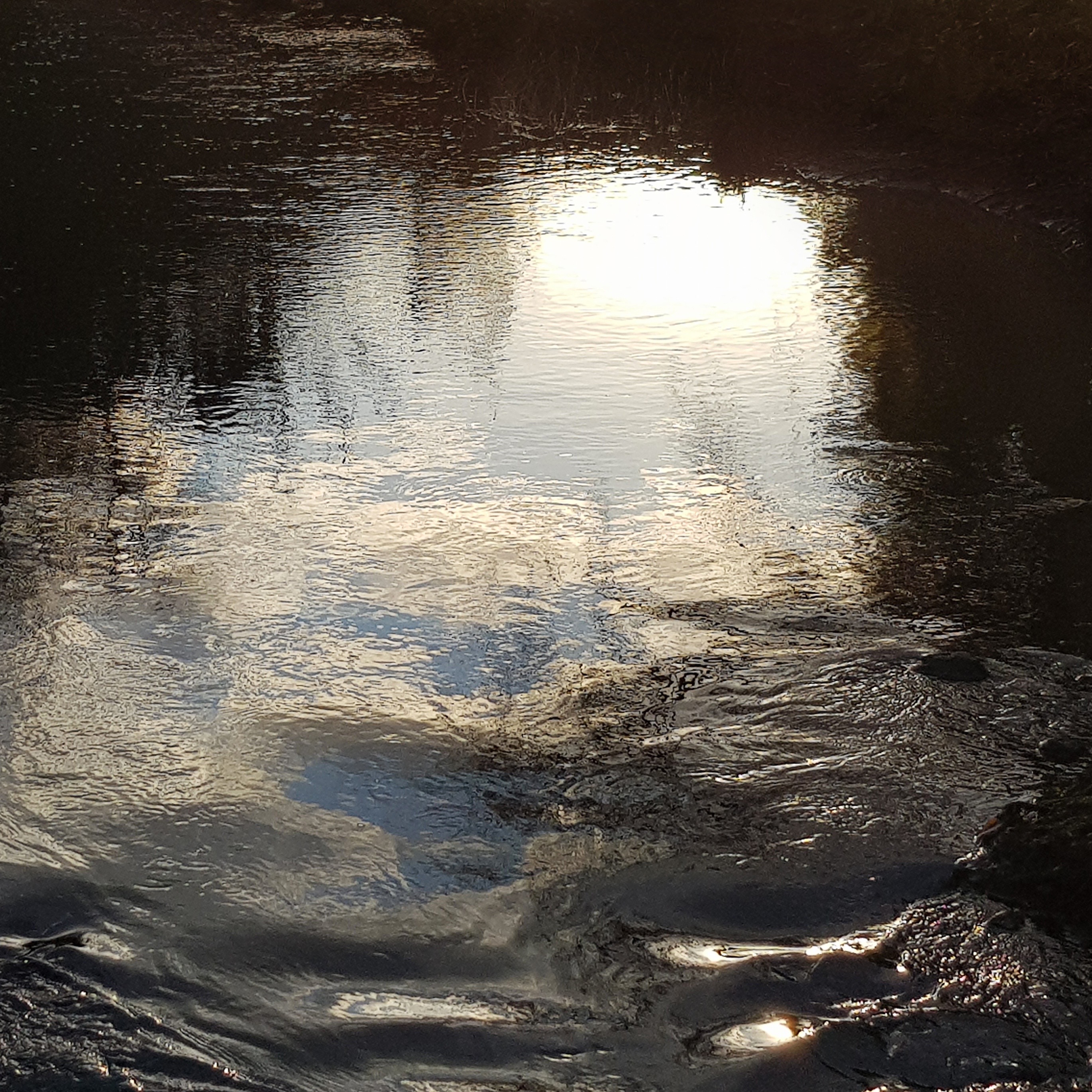 Penelope Hunt, 'Watery Skin', Pigment print on Archival Photo Rag