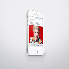 Digital Advertising Campaign