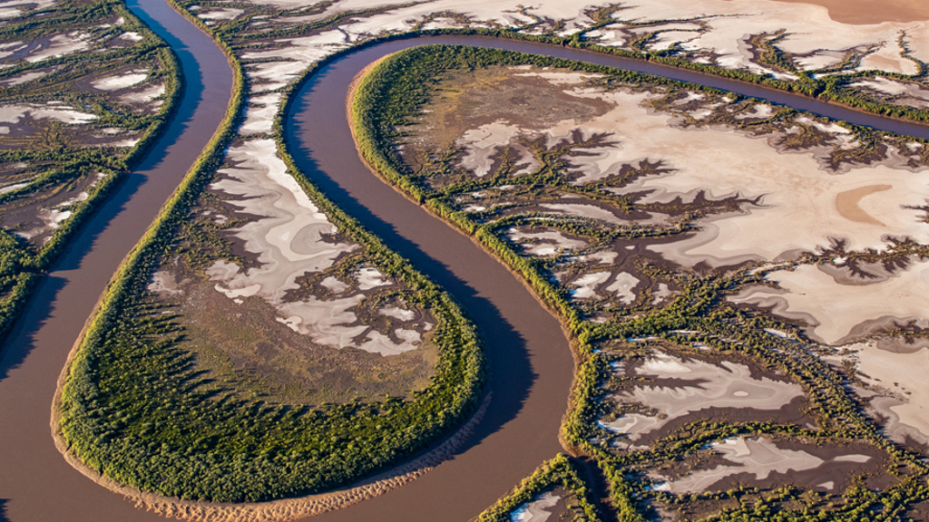 A bird's eye view of a winding river