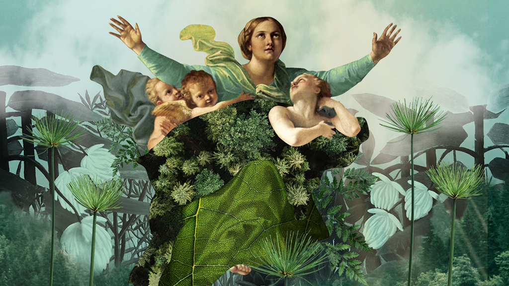 The Spiritual Forest