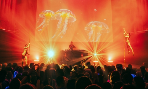 Mardi Gras Ultra Violet